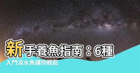 養什麼魚最好養|養魚新手避坑指南